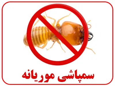 سم پاشی موریانه