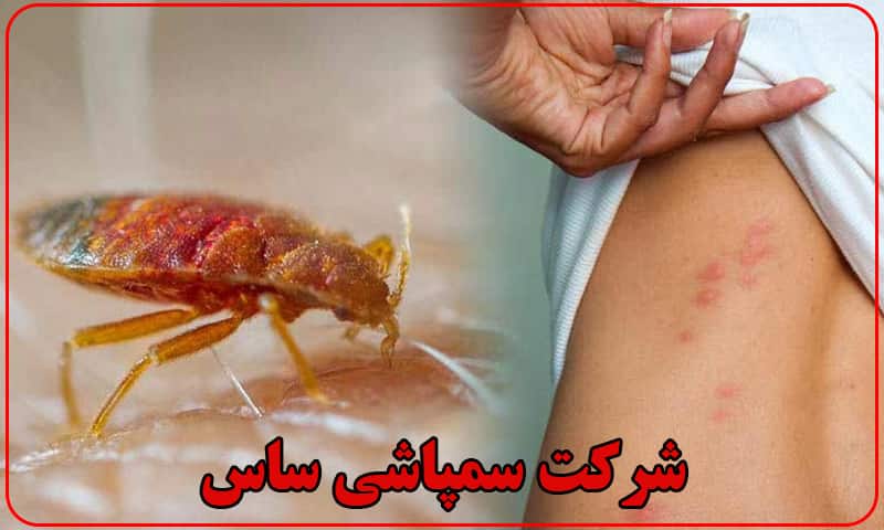 سمپاشی ساس تهران