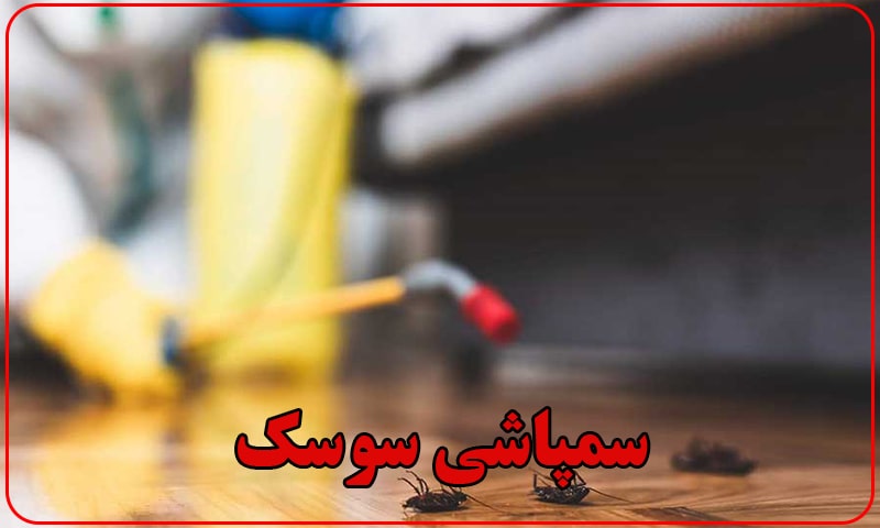 سمپاشی سوسک