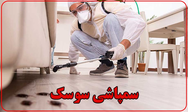 سمپاشی سوسک ریز