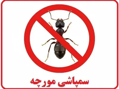 سم پاشی مورچه