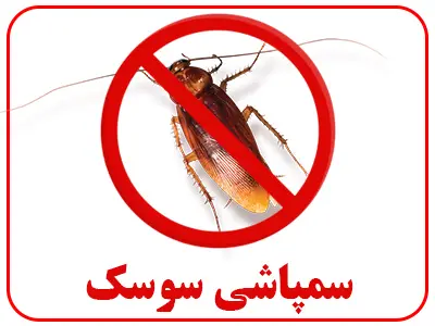 سم پاشی سوسک فاضلاب