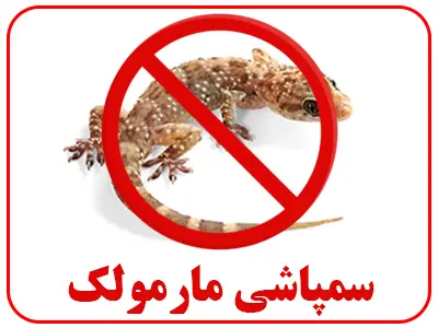 سم پاشی مارمولک