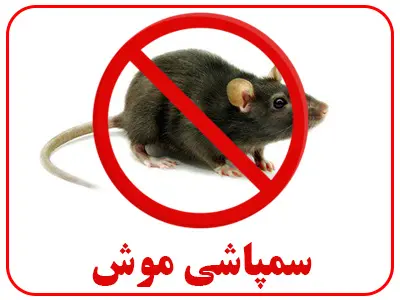 سم پاشی موش