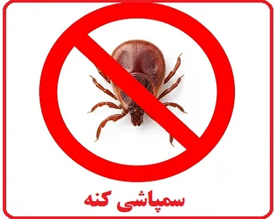 سم پاشی کنه