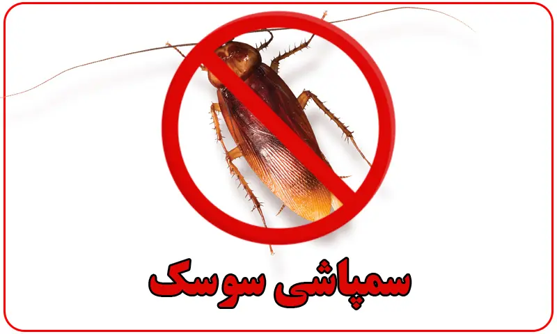 سمپاشی سوسک - سم پاشی سوسکهای فاضلابی و ریز