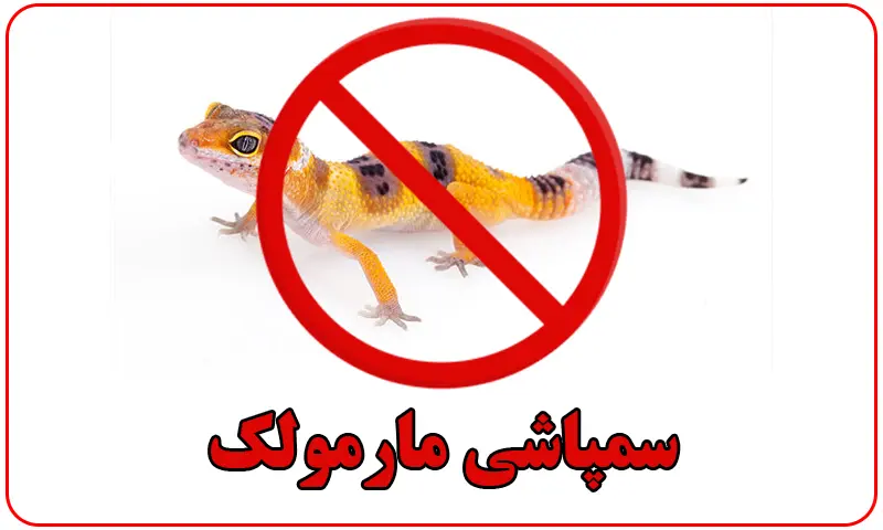 سمپاشی مارمولک - سم پاشی تضمینی با قیمت مناسب