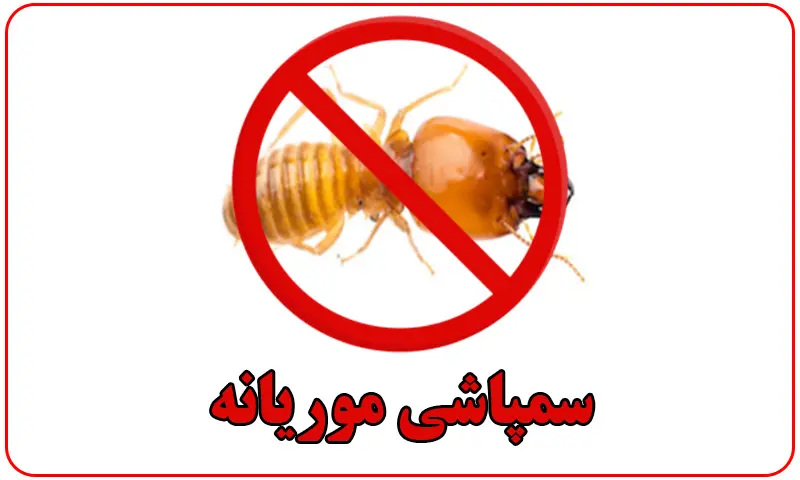 سمپاشی موریانه - سم پاشی و ریشه کنی دائمی